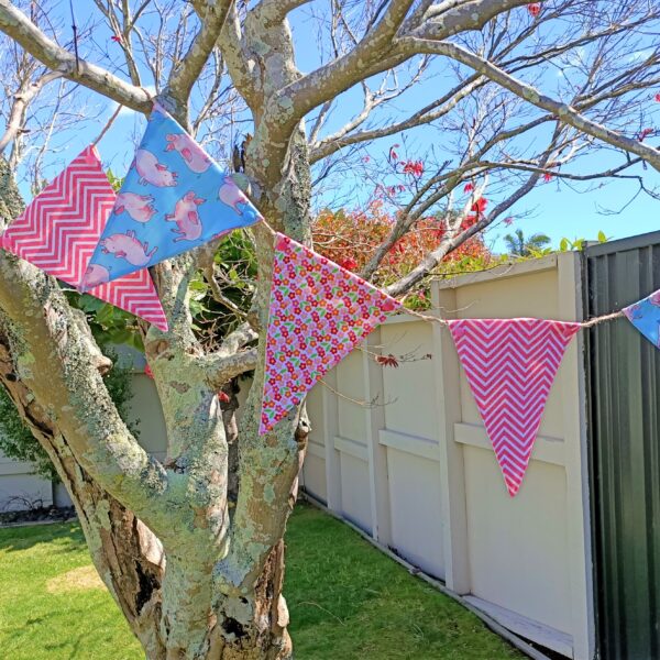 party hire Tauranga piggy bunting