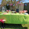 party hire Tauranga pig table decoration