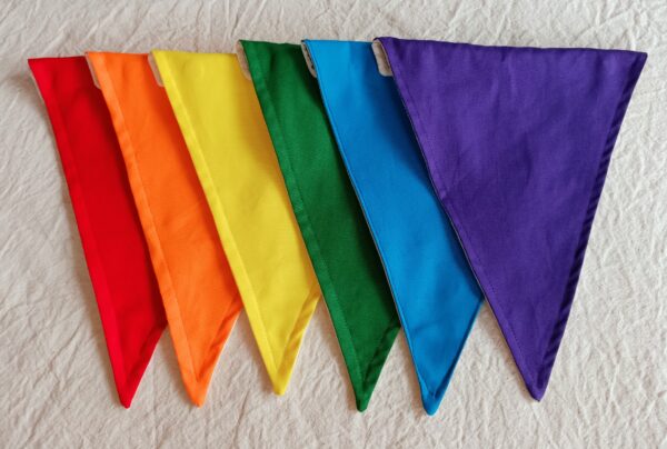 bunting rainbow pride reusable party supplies