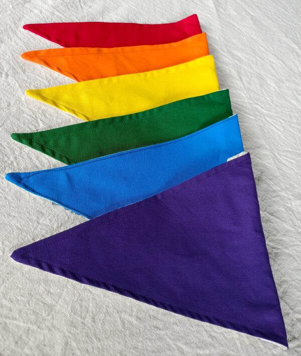 bunting rainbow pride