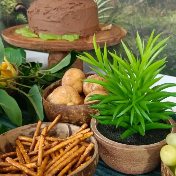 Dino Party Hire Kit table food