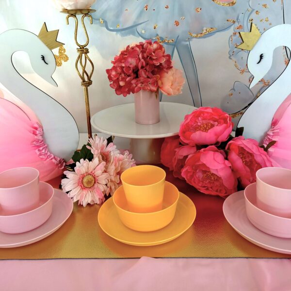 swan ballerina party hire box party hire tauranga