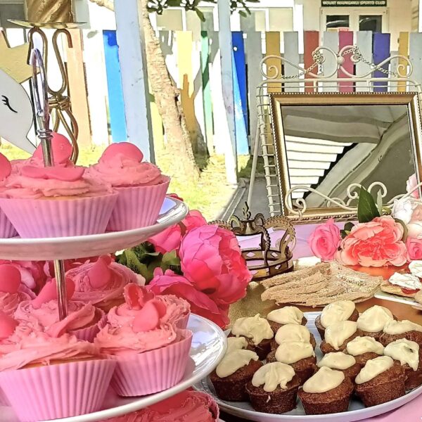 swan ballerina party hire box party hire tauranga