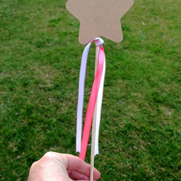 swan ballerina party hire box party hire tauranga wooden star wand