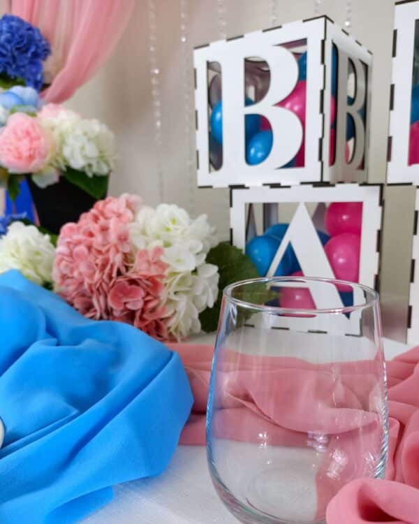 Baby Shower Party Hire Kit The Party Godmother